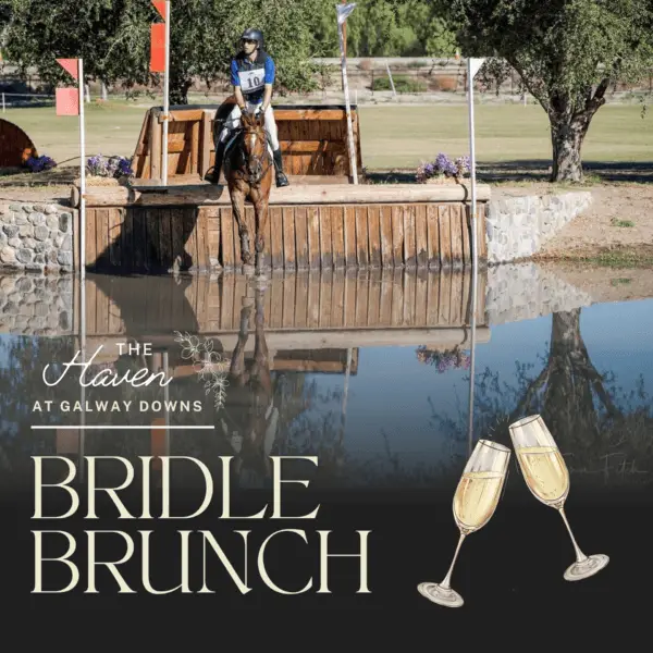 Bridle Brunch